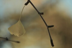 一夜の夢　④。。。！