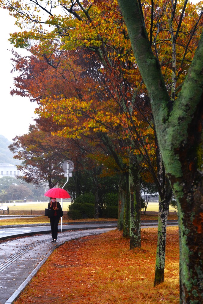 秋雨と赤い傘。。。！