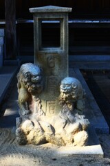 春の綱引神社　⑦。。。！