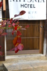 早春の大洲　➁。。。！