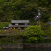 新緑の候　⑥。。。！