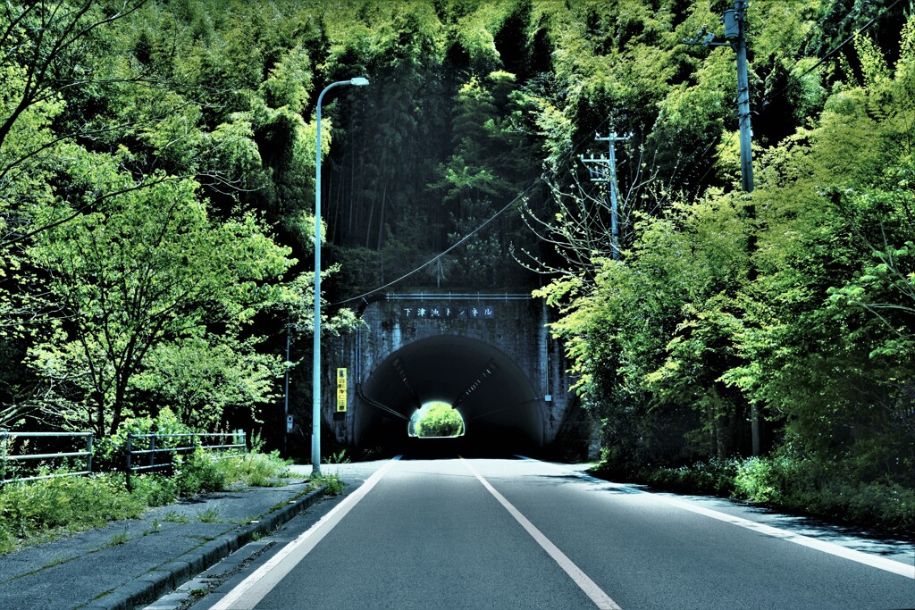 新緑を旅する　⑤。。。！