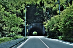 新緑を旅する　⑤。。。！