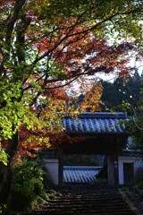 清源寺金色の石段　②。。。！