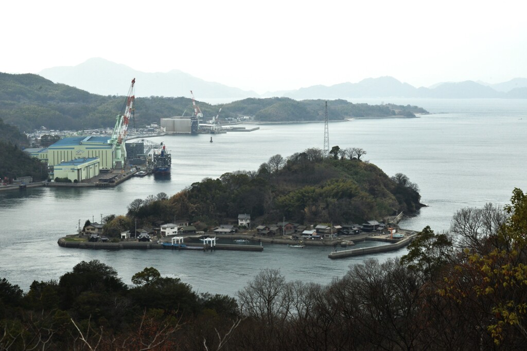 新春の風渡る　①。。。！