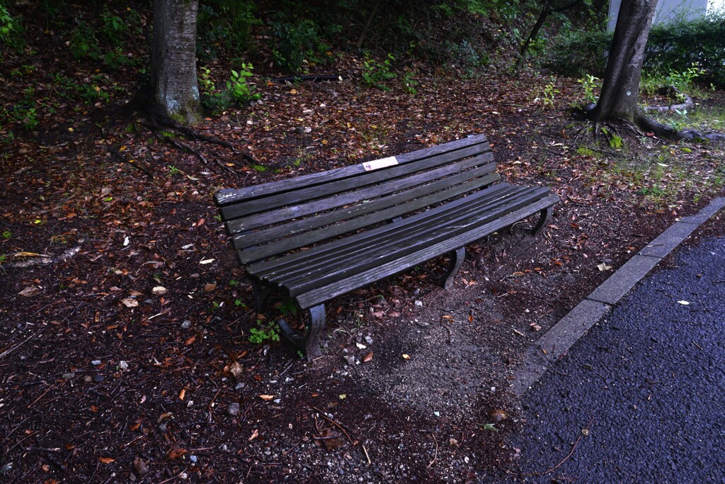 雨の公園　⑥。。。！