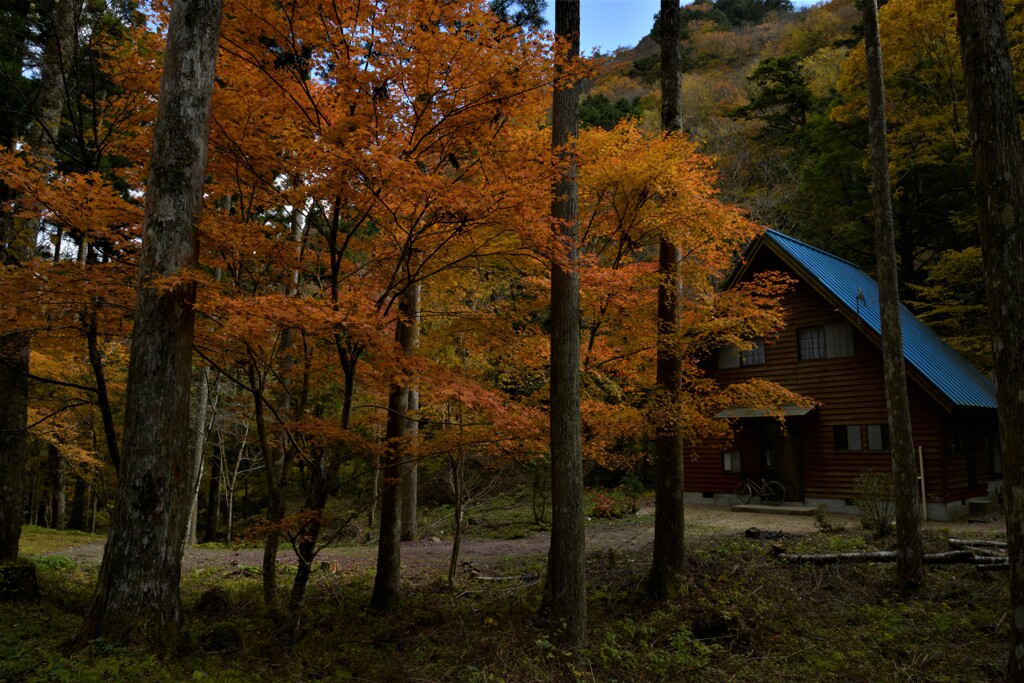 牧場に秋がやって来る。。。！