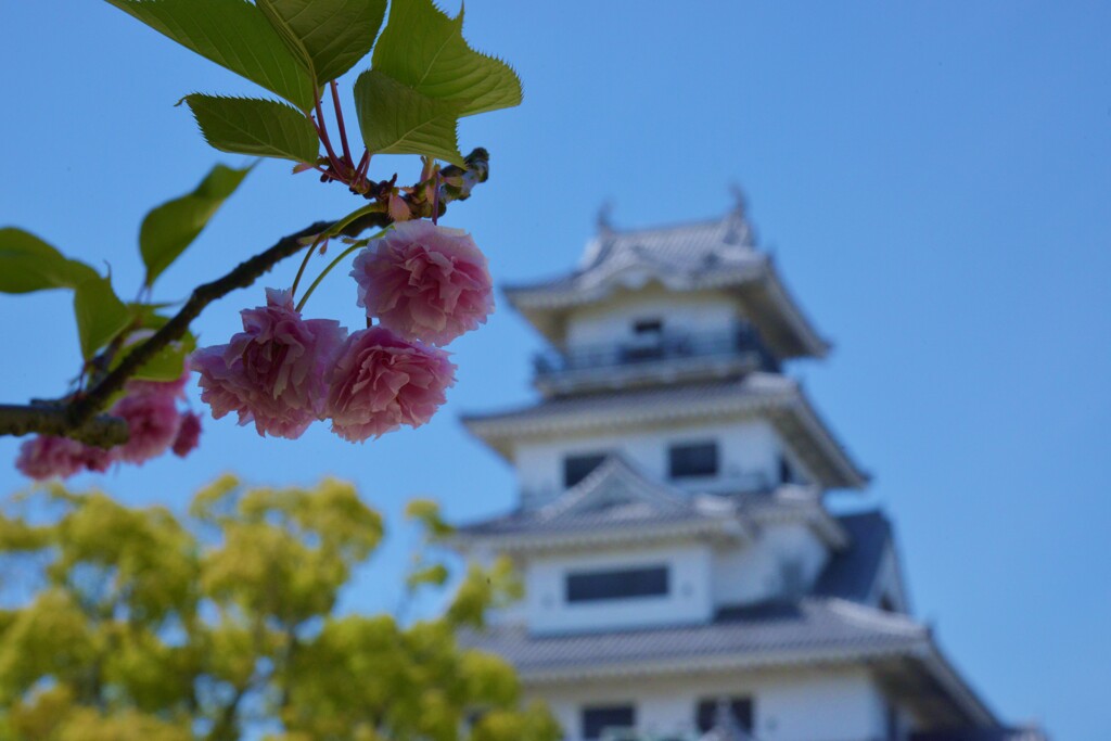 花に埋もれる城　②。。。！