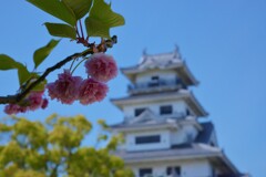 花に埋もれる城　②。。。！