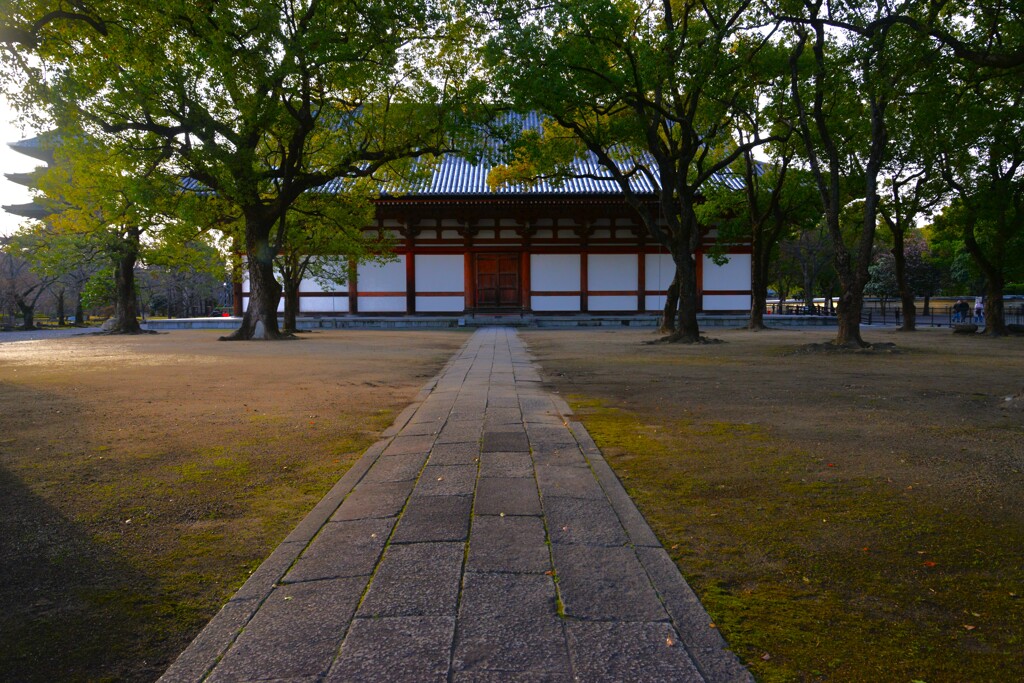 朝の東寺　②。。。！
