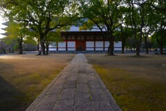 朝の東寺　②。。。！