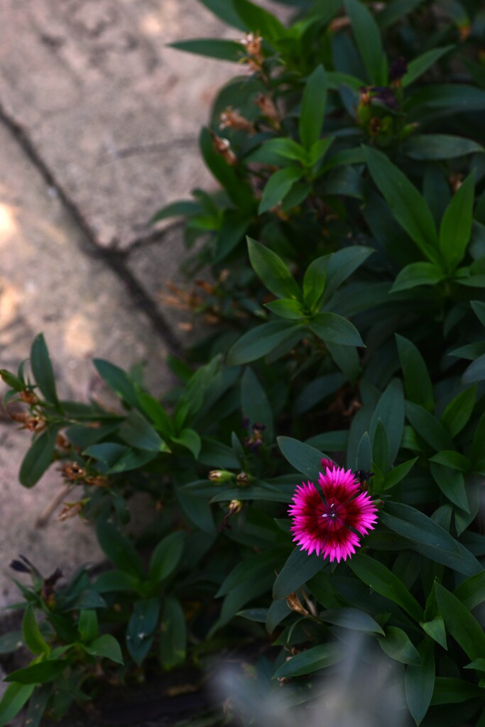 秋色の言葉　➁。。。！