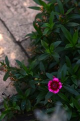 秋色の言葉　➁。。。！