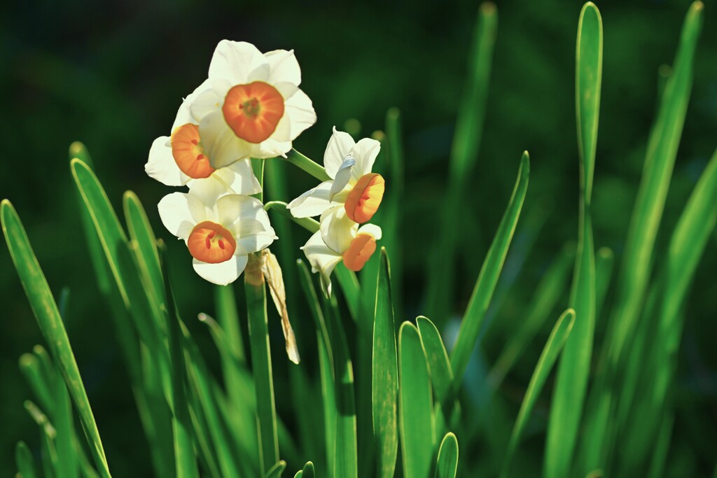 優しさと刹那さと心強さと　➂。。。！