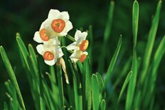 優しさと刹那さと心強さと　➂。。。！