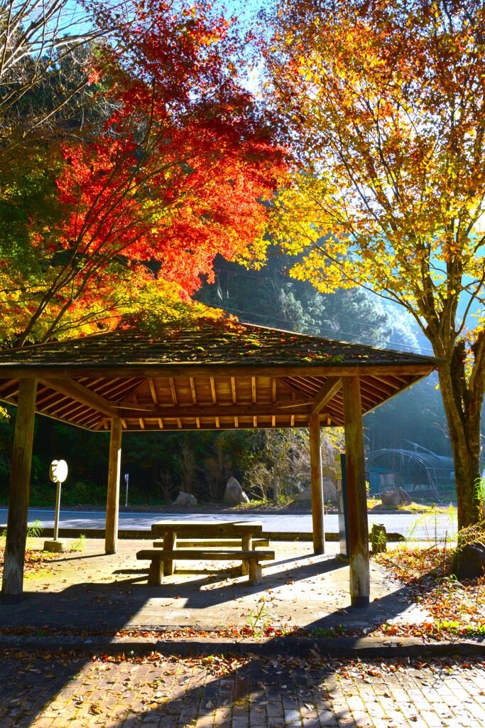 autumn gate ➁。。。！