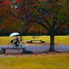 秋に染まる公園　①。。。！