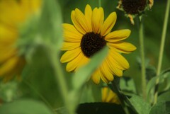 ２３s夏が来る　①。。。！