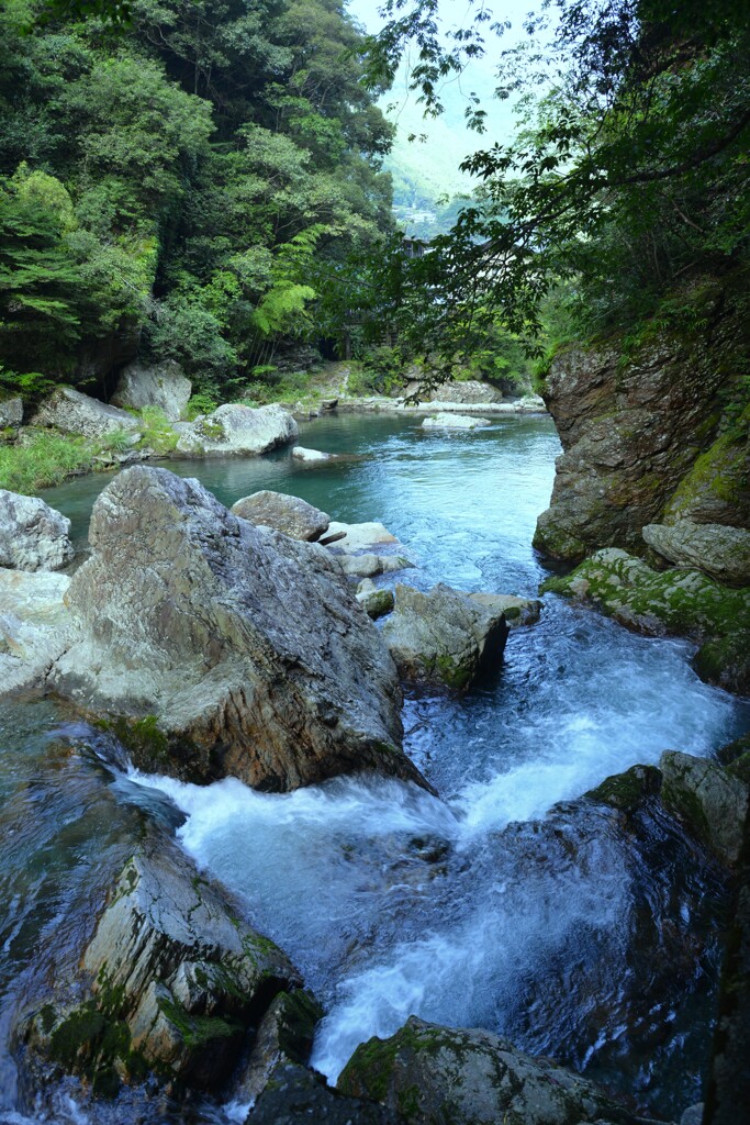 涼を求めて　➂。。。！