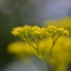 憂いの雨模様　②。。。！