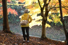 金色に輝く時　①。。。！