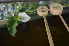 心静かに。。。！