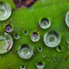 雨粒メロディー　④。。。！