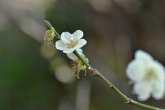 庚申庵．．季節の詩　➂。。。！