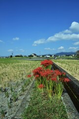 田園さんぽ．．刈入も終わって　➂。。。！