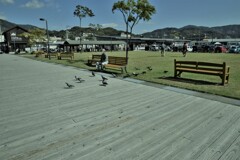 秋晴れのみなと公園。。。！