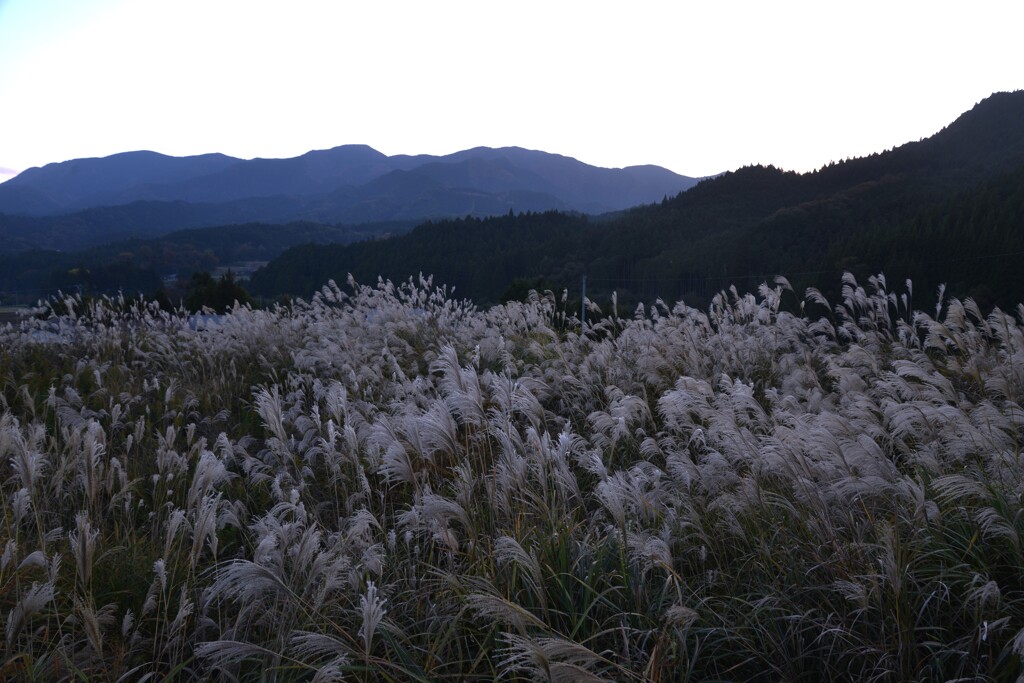 夕暮れ山の海原　①。。。！