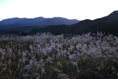 夕暮れ山の海原　①。。。！