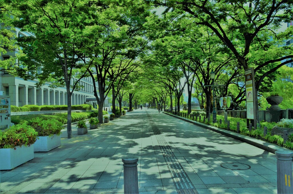 緑のトンネル。。。！