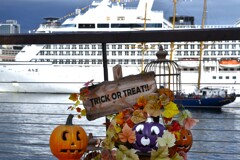 港町ハロウィン　。。。！