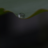 雨粒メロディー　⑤。。。！