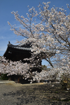 久妙寺．．贈る言葉　②。。。！