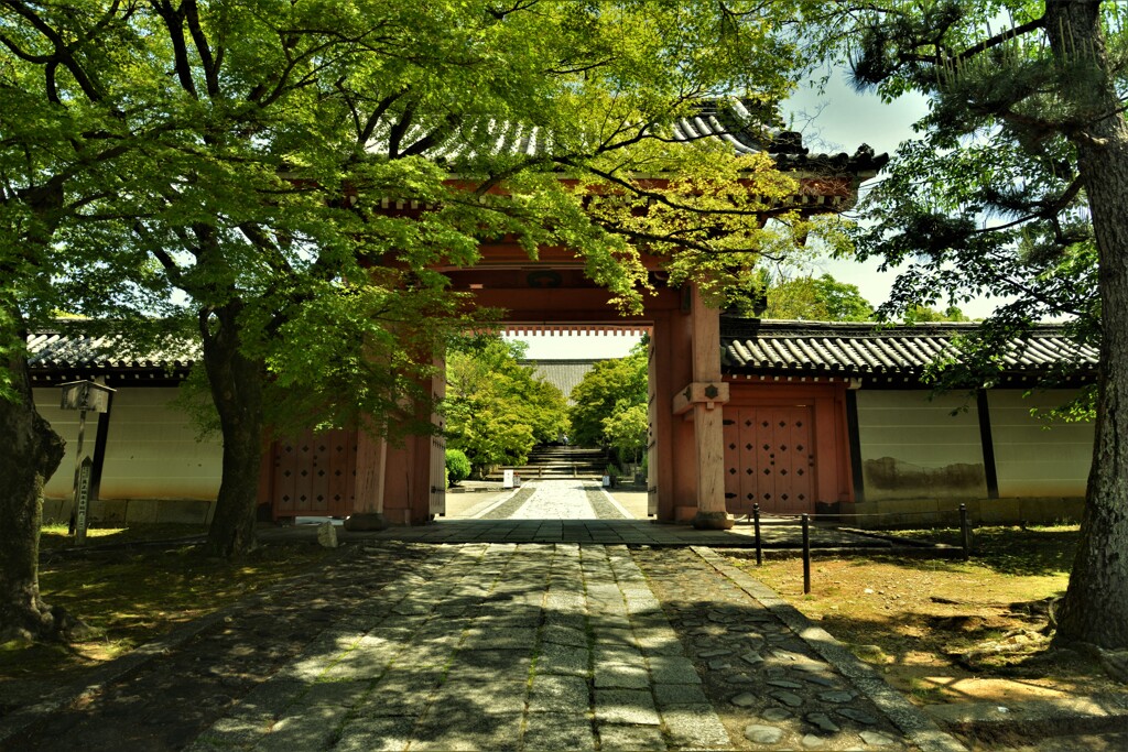 美しい山門　②。。。！