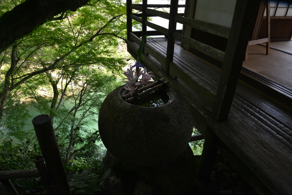 和の心に浸る　⑥。。。！