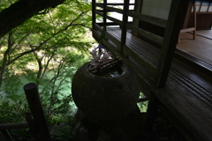 和の心に浸る　⑥。。。！