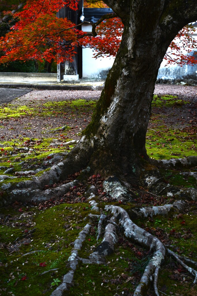 静寂の秋に浸る　④。。。！