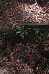 陽射す➂。。。！