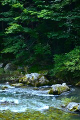 夏の梼原　②。。。！