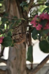 夏のぬけがら。。。！