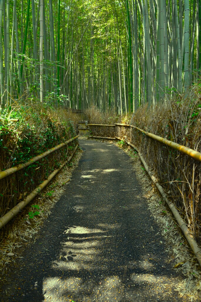 美くしの古都を傷つけないで　。。。！