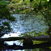 新緑の京都天授庵　➂。。。！