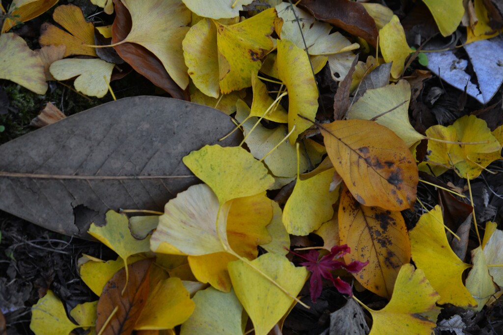 時の過ぎゆく　④。。。！