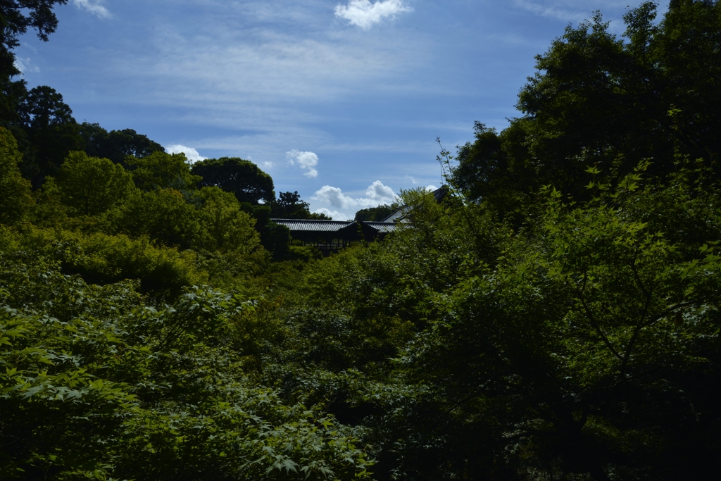 ある夏…ある時。。。！