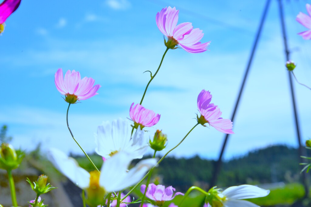 思秋期　②。。。！