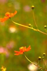 秋風に吹かれて　➁。。。！