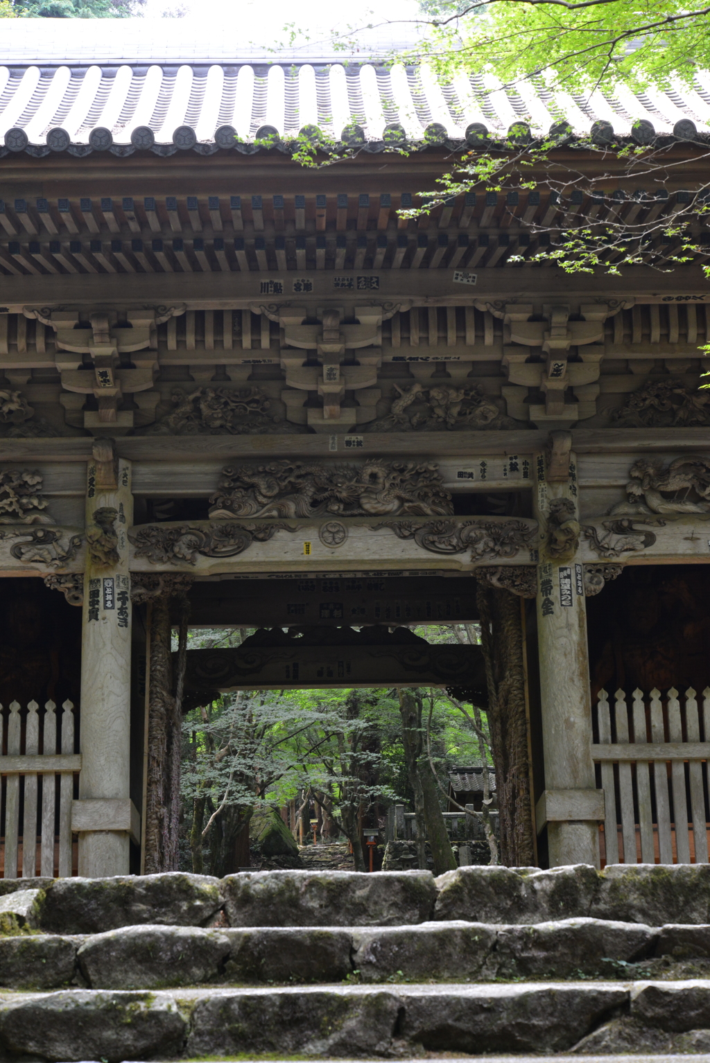 山寺に秋の訪れ　➁。。。！